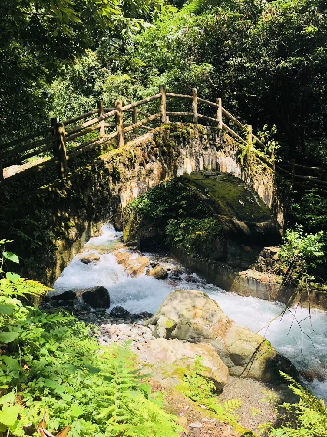 熊仔拼图